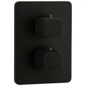 Herzbach Living Mitigeur thermostatique, pour bain & douche, 36.503050... pas cher