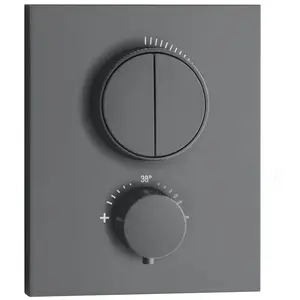 Herzbach LIVING Mitigeur thermostatique, pour bain & douche, 23.803050... pas cher