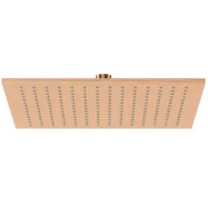 Herzbach Living Spa Douche de tête, 1 jet, 11.600300.2.39, pas cher