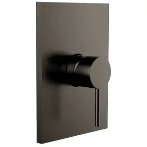 Herzbach Design iX PVD Mitigeur monocommande, pour douche, 21.130555.2.40, pas cher