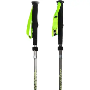 Bâtons Dynafit Pole Vertical Pro gris jaune (paire) - 115 pas cher