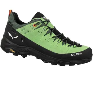 Salewa Alp Trainer 2 Gtx vert 44,5 pas cher