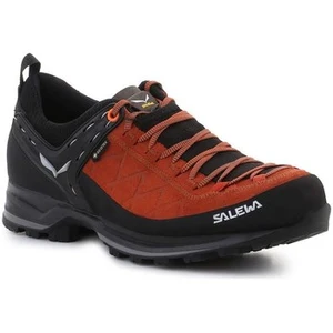 Salewa MS MTN TRAINER 2 Gore-Tex marron 41 pas cher
