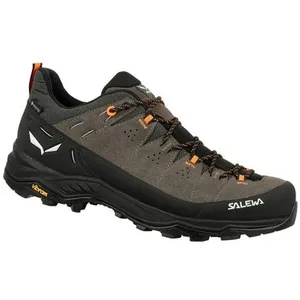 Salewa Alp Trainer 2 Gore-Tex - homme pas cher