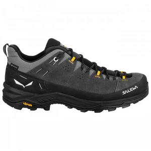 Salewa Alp Trainer 2 Gtx gris 46,5 pas cher