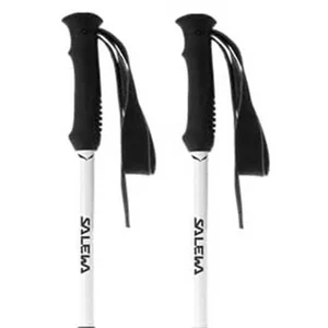 Salewa Bâtons Pedroc Carbonium Pro pas cher