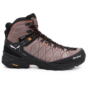 Comparateur de prix : Salewa MS Alp Trainer 2 Mid Gore-Tex marron 43