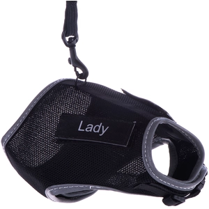 Harnais et laisse XCat Trixie avec sticker noir - pour chatVendu parzooplus