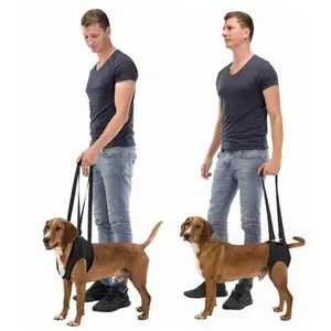 Comparateur de prix : TRIXIE Aide à la Marche pour Chien Taille L-XL/75-85 cm
