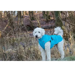 Comparateur de prix : Imperméable pour chien - trixie - vimy - bleu turquoise - taille l - résistant au vent