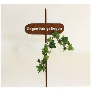 Dandibo - Support pour plantes grimpantes Fiche de jardin 'La pluie ap... pas cher