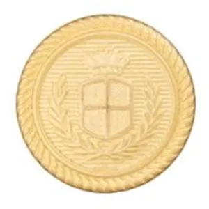 Boutons blazer à queue argent 23mm X 2 - Union Knopf(...) - Or Jaune