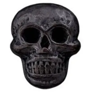 Non communiqué Boutons Tête de mort 18mm x 2 - Prym(...) - Cuivre Noir