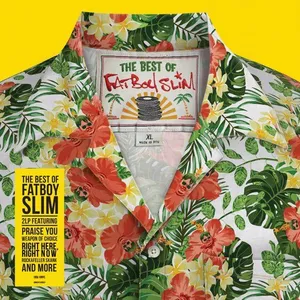 Disque vinyle - BMG - The Best of Fatboy Slim - Platine - Noir - 33 tours - Vintage pas cher