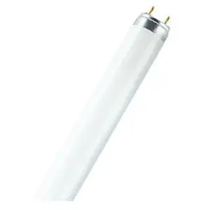 Tube fluorescent Master TL-D Super80 G13 36W Osram 865, 120 cm T8-Ampoule pas cher