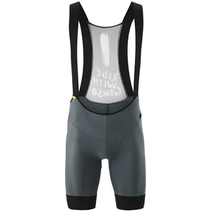 Gonso - SQlab Go Bib - Pantalon de cyclisme taille S, gris/noir