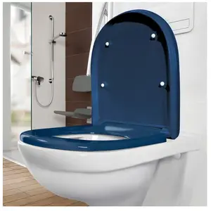 Comparateur de prix : Villeroy & Boch ViCare Abattant WC, 9M67S1P1,