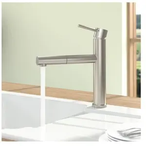 Comparateur de prix : Villeroy & Boch Como Shower Sky Mitigeur de cuisine pivotant, avec dou...