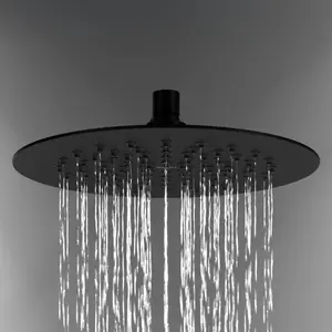 Artiviana Puro Douche de tête Ø 250 mm, R0905250NE, pas cher
