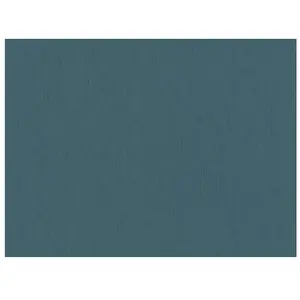 A.S. Création Versace 383831 Papier peint intissé uni clair brillant 10,05 x 0,70 m pas cher