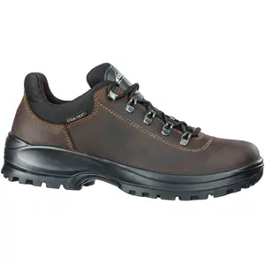 Chaussures de randonnée Albatros Eiger CTX Low Marron 43 658650-400 pas cher