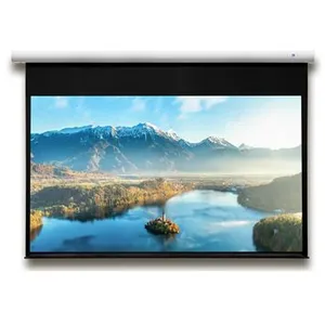 Celexon Ecran de projection motorisé DELUXX Expert Elegance 16:9 Blanc Mat Pol... pas cher