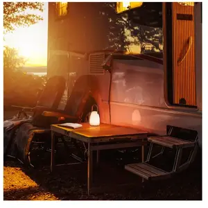FH Lighting Lampe de table LED solaire rechargeable Ruby, hauteur 16 c...