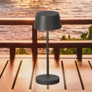 FH Lighting Lampe à poser LED rechargeable Sienna Pro, gris sable, 24 ... pas cher