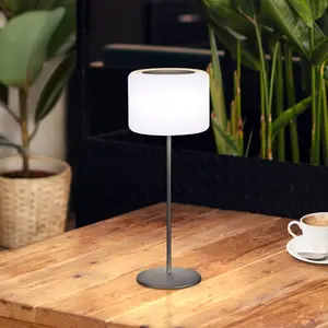 Comparateur de prix : FH Lighting Lampe table batterie LED solaire Pino, noir sable