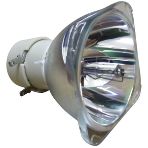 Philips UHP 190W/160W 0.9 E20.9 lampe de projecteur pour divers projecteurs - ECL-1730-UHPVendu parcdiscount