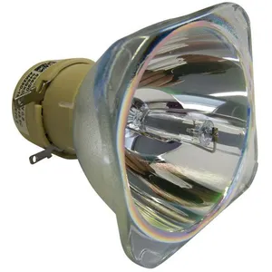 Philips ampoule de projecteur pour  SCREENEO 2.0 LAMPVendu parcdiscount
