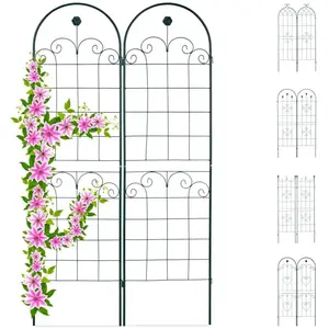 Comparateur de prix : Relaxdays Treillis jardin fer set de 2 clôture plante grimpante grille fleurs arceau rosier 180 x 50 cm B, vert foncé