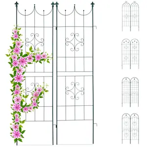 Comparateur de prix : Relaxdays Treillis jardin fer set de 2 clôture plante grimpante grille fleurs arceau rosier 180 x 50 cm C, vert foncé