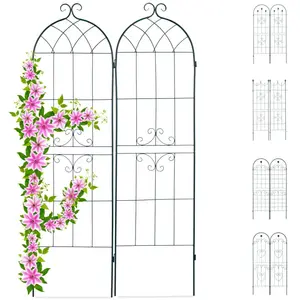 Comparateur de prix : Relaxdays Treillis jardin fer set de 2 clôture plante grimpante grille fleurs arceau rosier 180 x 50 cm E, vert foncé
