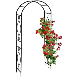 Arche à rosiers en métal, portail de jardin, HxLxP : 230 x 100 x 40 cm...Vendu paramazon