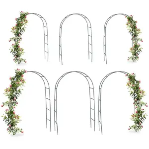 RELAXDAYS Arche pour rosiers et plantes grimpantes, lot de 6, 240 cm, tuteur en métal, résistant aux intempéries, vert