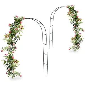 RELAXDAYS Arche pour rosiers et plantes grimpantes, lot de 2, 240 cm, tuteur en métal, résistant aux intempéries, vertVendu paramazon