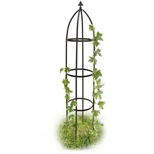 Comparateur de prix : Relaxdays Arceau de jardin arche rosiers plantes grimpantes pergola Obélisque de jardin support tuteur métal 190 cm