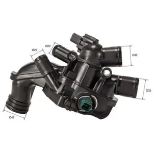 Thermostaat Febi Bilstein 36173
