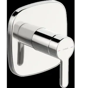 Hansa Designo Style Mitigeur monocommande, pour douche, 81109593, pas cher