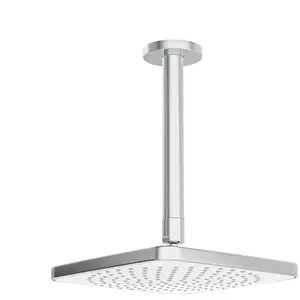 Hansa Basicjet Style Set de douche de tête, 1 jet, 44370200, pas cher