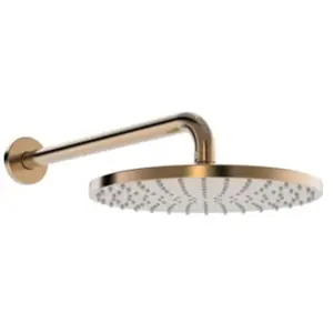 Hansa Viva Set de douche de tête, 1 jet, 4426020081, pas cher