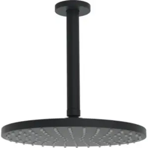 Hansa Viva Set de douche de tête, 1 jet, 4427020033,