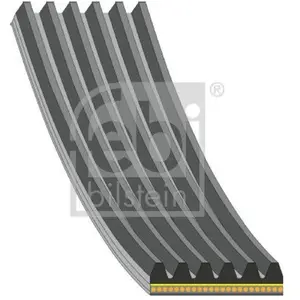 Courroie Trapézoïdale Multiple 181340 Febi Mazda Febi 181340 pas cher