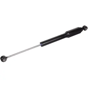 Amortisseur de direction FEBI BILSTEIN 100867 pas cher