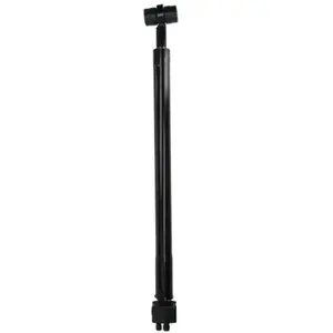 Vérin de basculement, cabine FEBI BILSTEIN 104316Vendu parmotointegrator