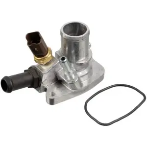 Thermostat Swag 33100400 pas cher
