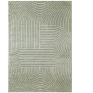 Tapis à relief vert sauge design 200x280