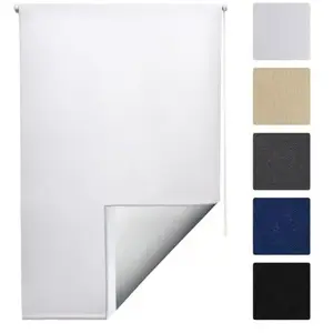 Store Enrouleur Occultant et Isolant Thermique SolReflect T42 160x55cm pas cher