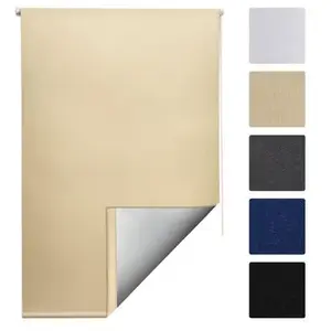 Store Enrouleur Occultant et Isolant Thermique SolReflect T42 160x60cm pas cher